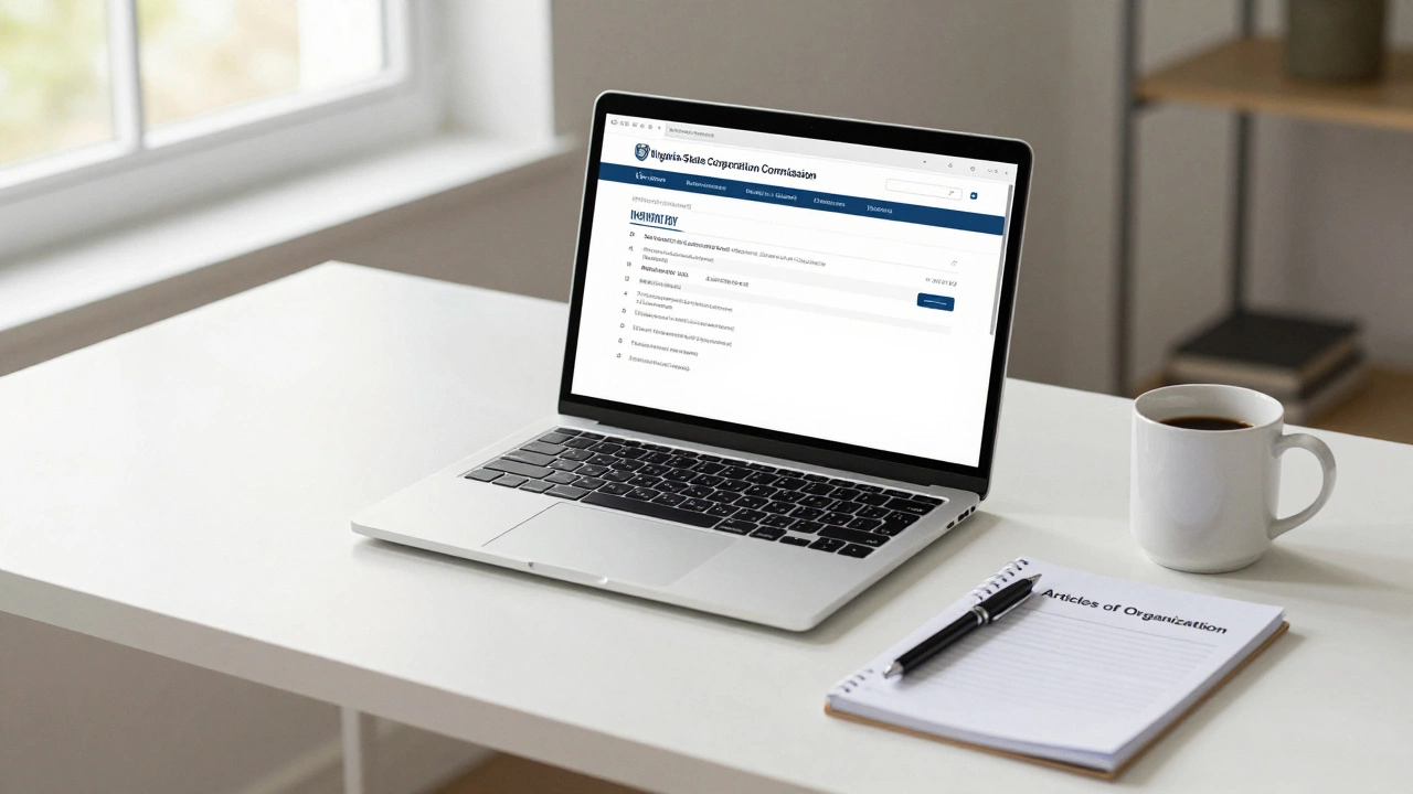 What Is Needed to Start an LLC in Virginia?