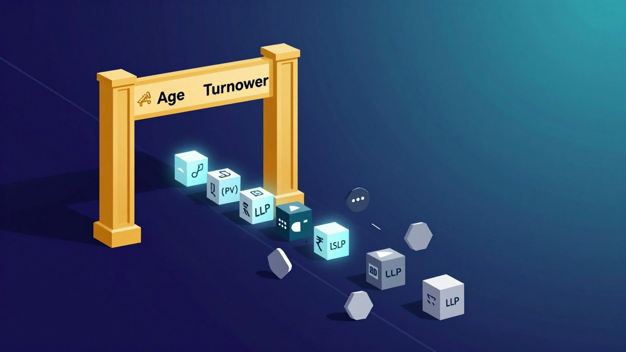 Conceptual art showing business entities passing through eligibility filters